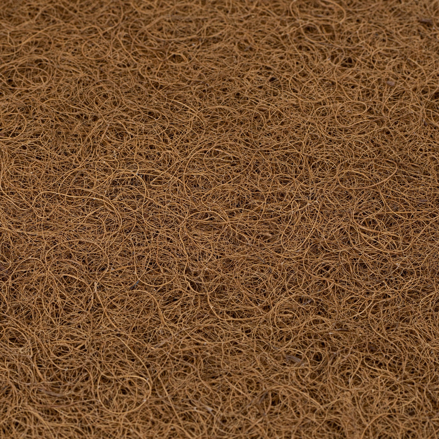 Babybay - Matratze Natural passend für Modell Maxi, Boxspring und Comfort Plus