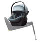 Thule - Maple Babyschale