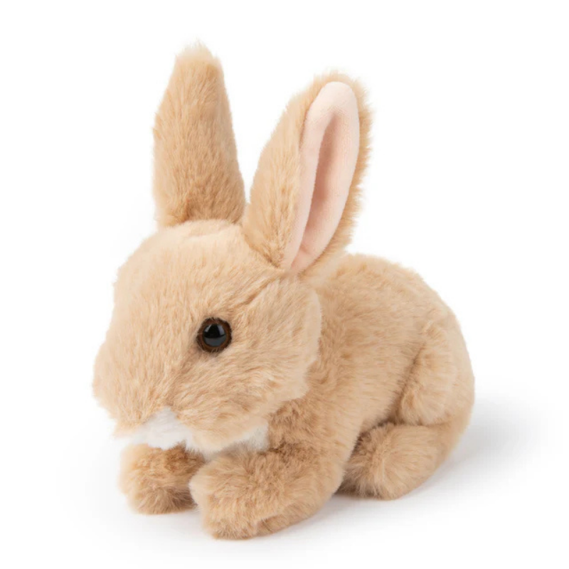 Produktbild: BONTON - WWF Häschen von BONTON im Onlineshop von dasMikruli - Dein Shop für Baby Erstausstattung